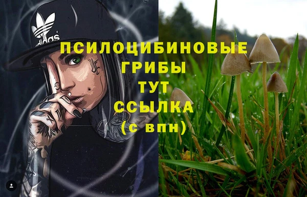 индика Покачи
