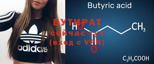 индика Покачи