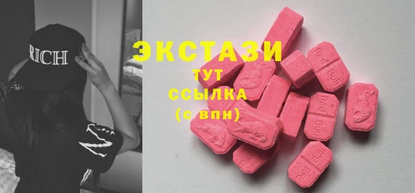 индика Покачи
