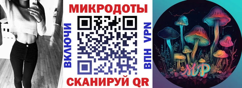 Псилоцибиновые грибы Psilocybine cubensis гидра tor Суоярви