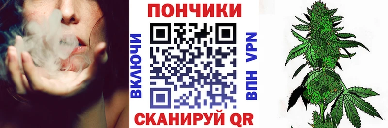 закладки  Суоярви  Каннабис Bruce Banner 